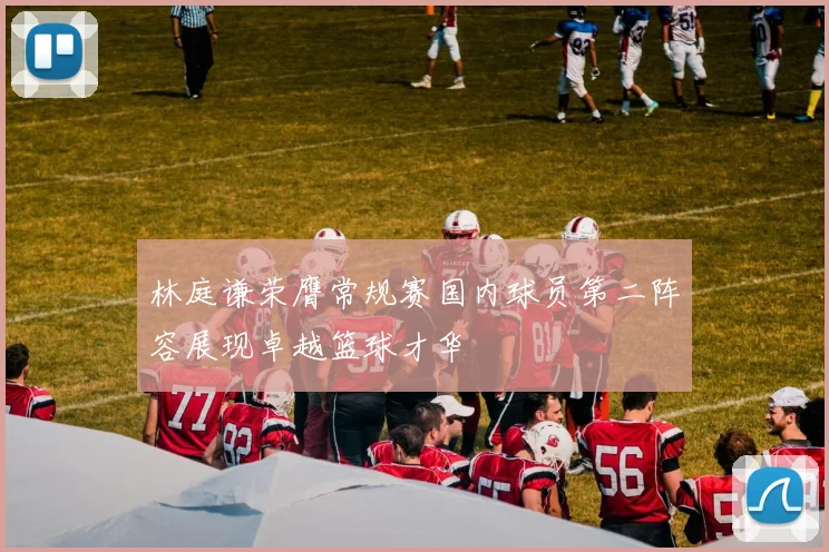 林庭谦荣膺常规赛国内球员第二阵容展现卓越篮球才华