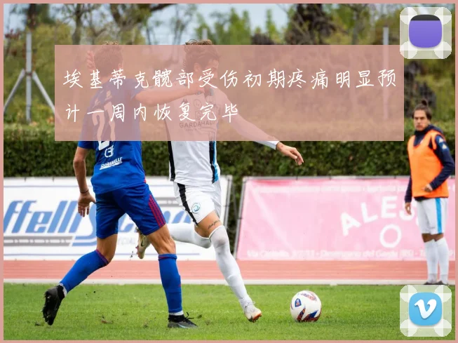 埃基蒂克髋部受伤初期疼痛明显预计一周内恢复完毕